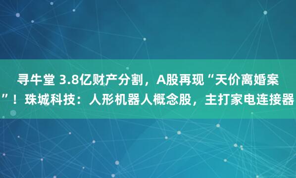 寻牛堂 3.8亿财产分割，A股再现“天价离婚案”！珠城科技：人形机器人概念股，主打家电连接器