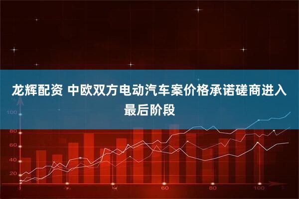 龙辉配资 中欧双方电动汽车案价格承诺磋商进入最后阶段