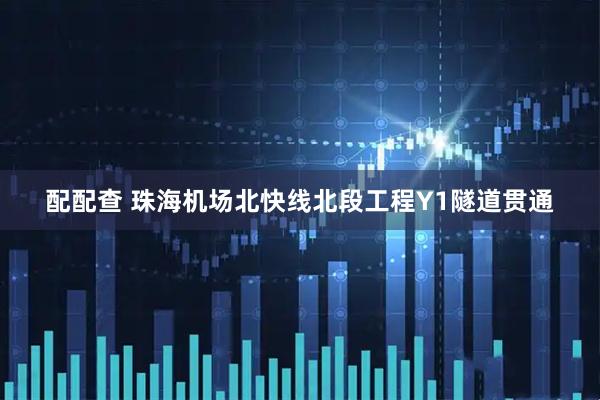 配配查 珠海机场北快线北段工程Y1隧道贯通