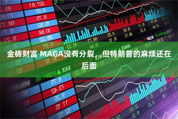 金砖财富 MAGA没有分裂，但特朗普的麻烦还在后面
